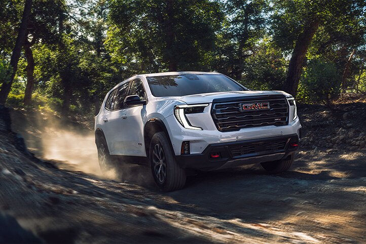 ACADIA 2025 DESEMPEÑO