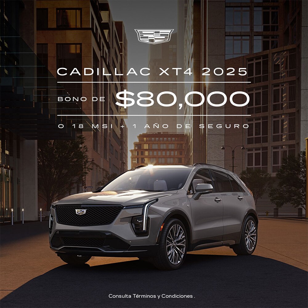 Nueva Envision 2024