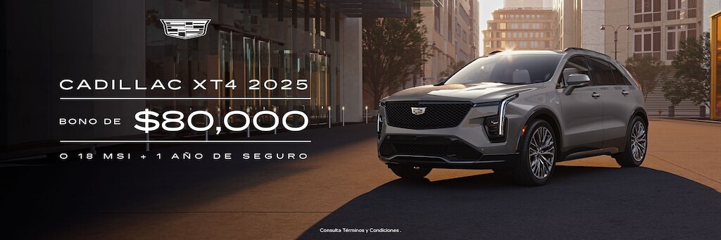 Nueva Envision 2024