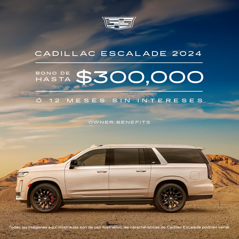 Nueva Envision 2024