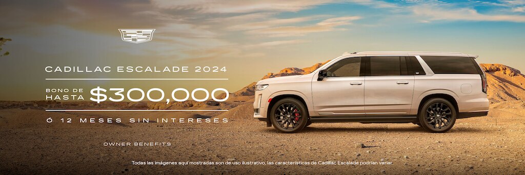 Nueva Envision 2024